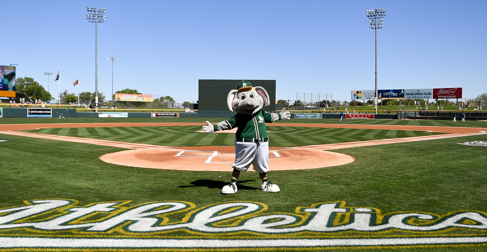 Oakland A's Spring Training Facility Renovations in Mesa, AZ (City of